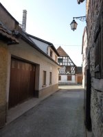 DAMBACH ROUTE DU VIN 